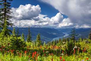 Meadows in the Sky-0568.jpg Meadows in the Sky-0568.jpg
